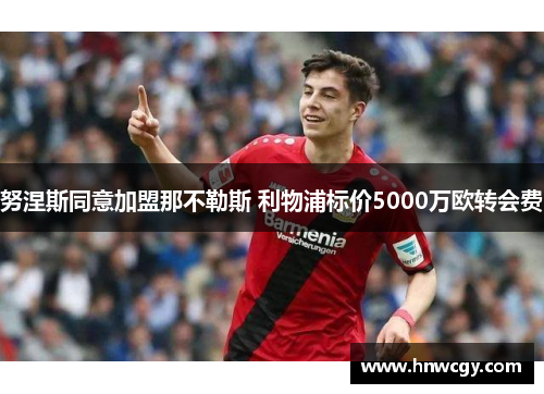 努涅斯同意加盟那不勒斯 利物浦标价5000万欧转会费