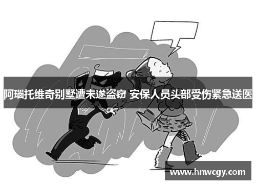 阿瑙托维奇别墅遭未遂盗窃 安保人员头部受伤紧急送医